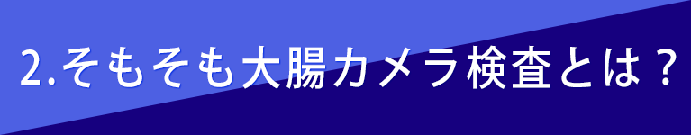 ２、そもそも大腸カメラ検査とは