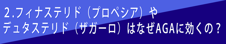 フィナステリド（プロペシア）やデュタステリド（ザガーロ）はなぜAGAに効くの？