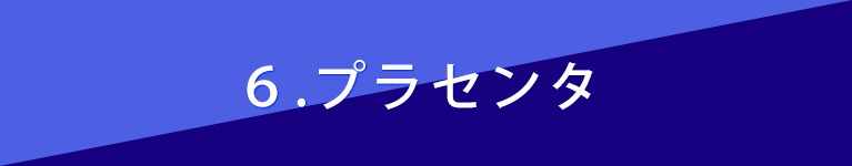 6，プラセンタ